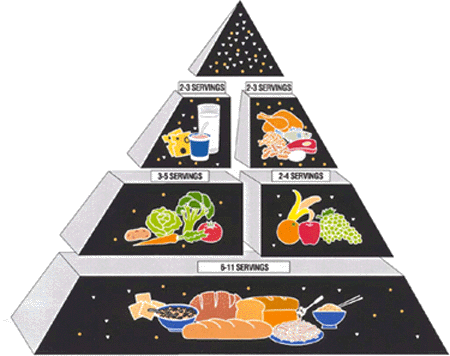 {Food Pyramid break-out}